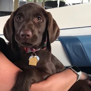 Meet your Posher, Tim